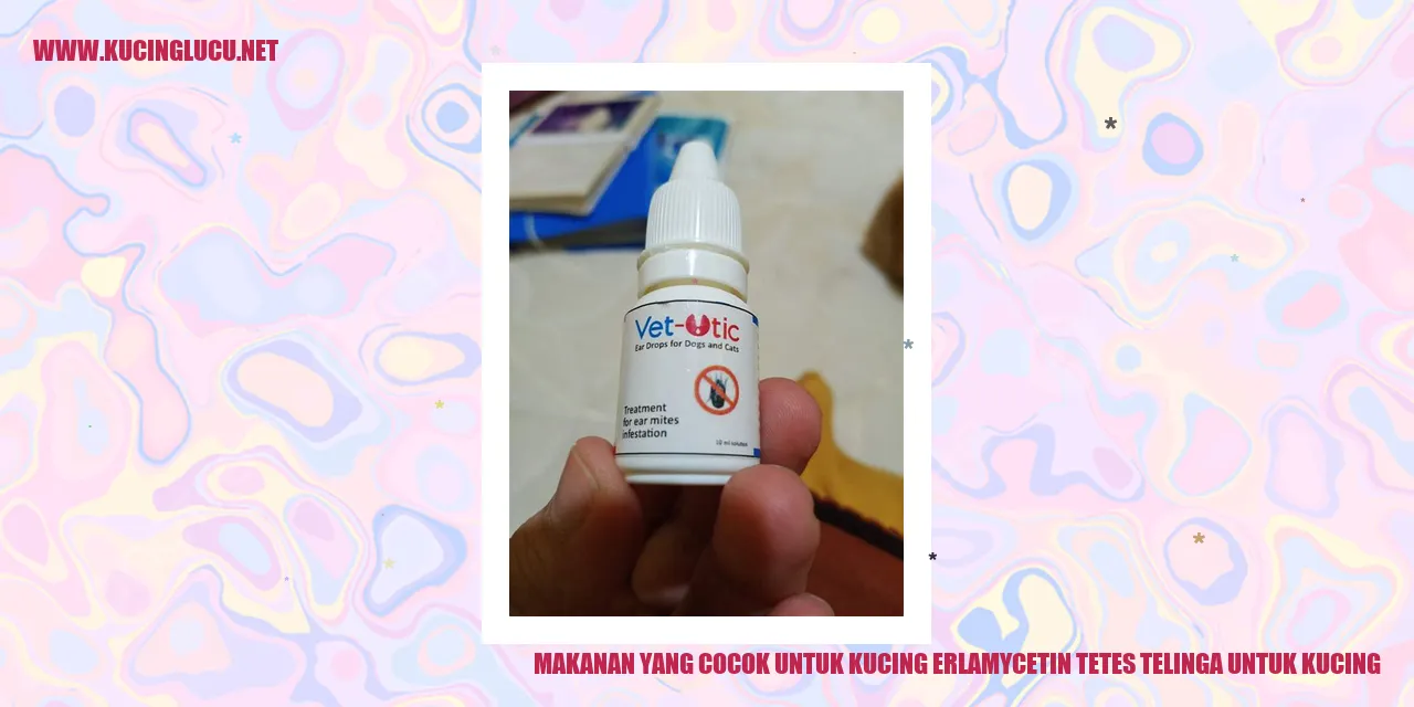 Makanan Kucing