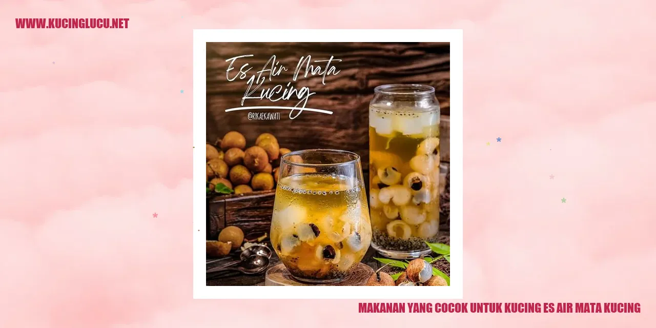 Makanan untuk Kucing