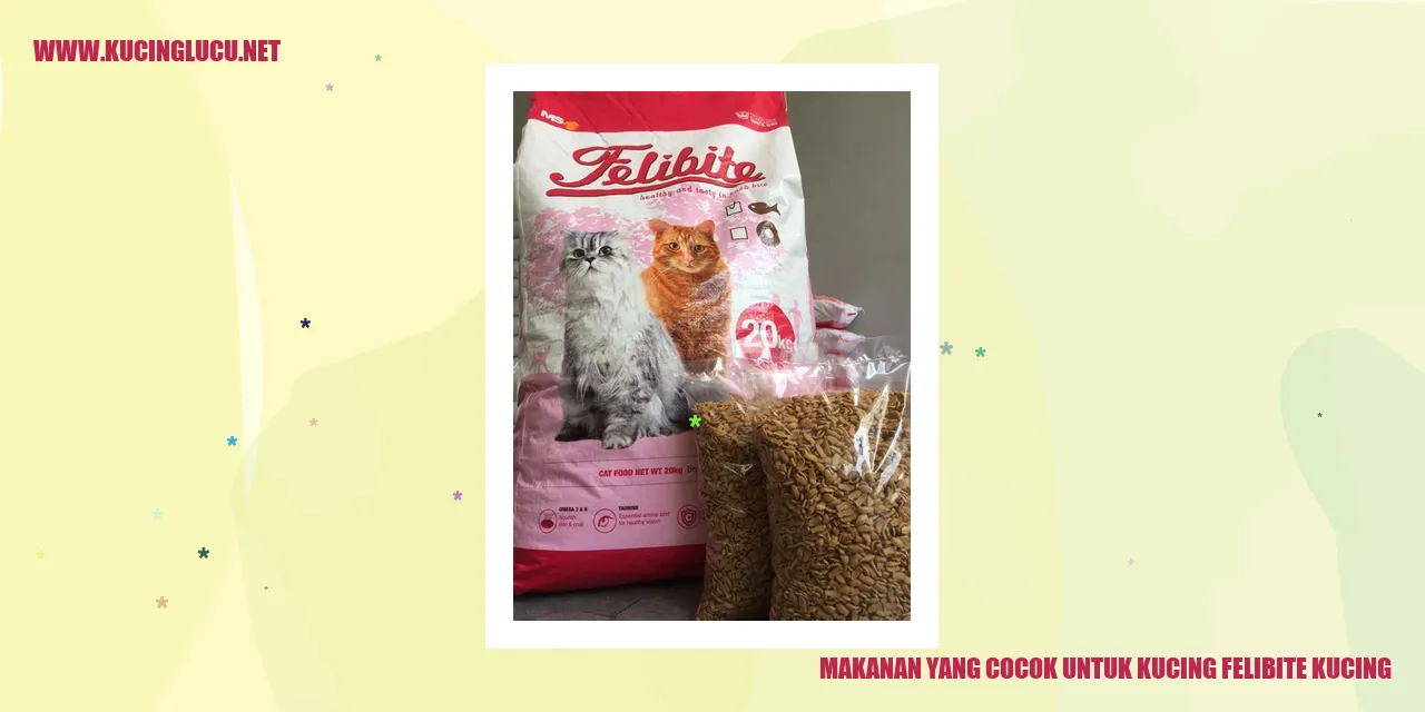 Makanan yang Cocok untuk Kucing felibite kucing