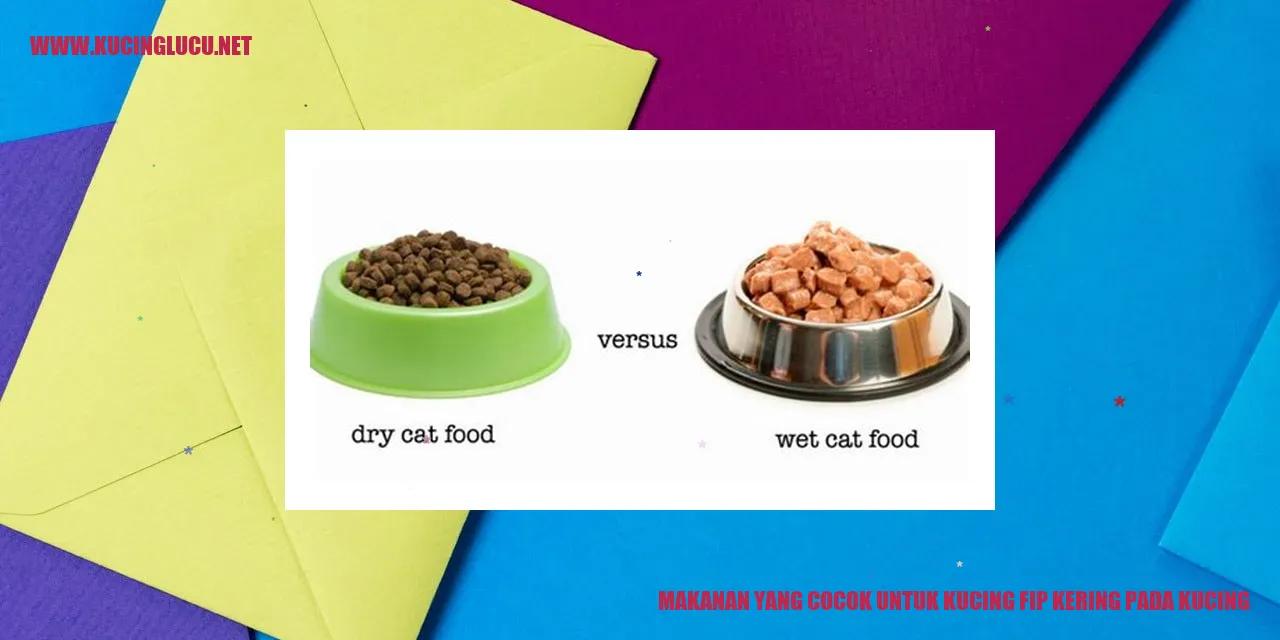 Makanan yang Cocok untuk Kucing fip kering pada kucing
