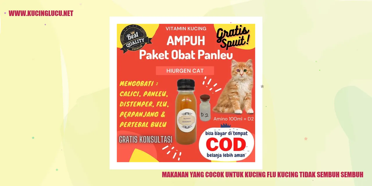 Makanan yang Cocok untuk Kucing flu kucing tidak sembuh sembuh