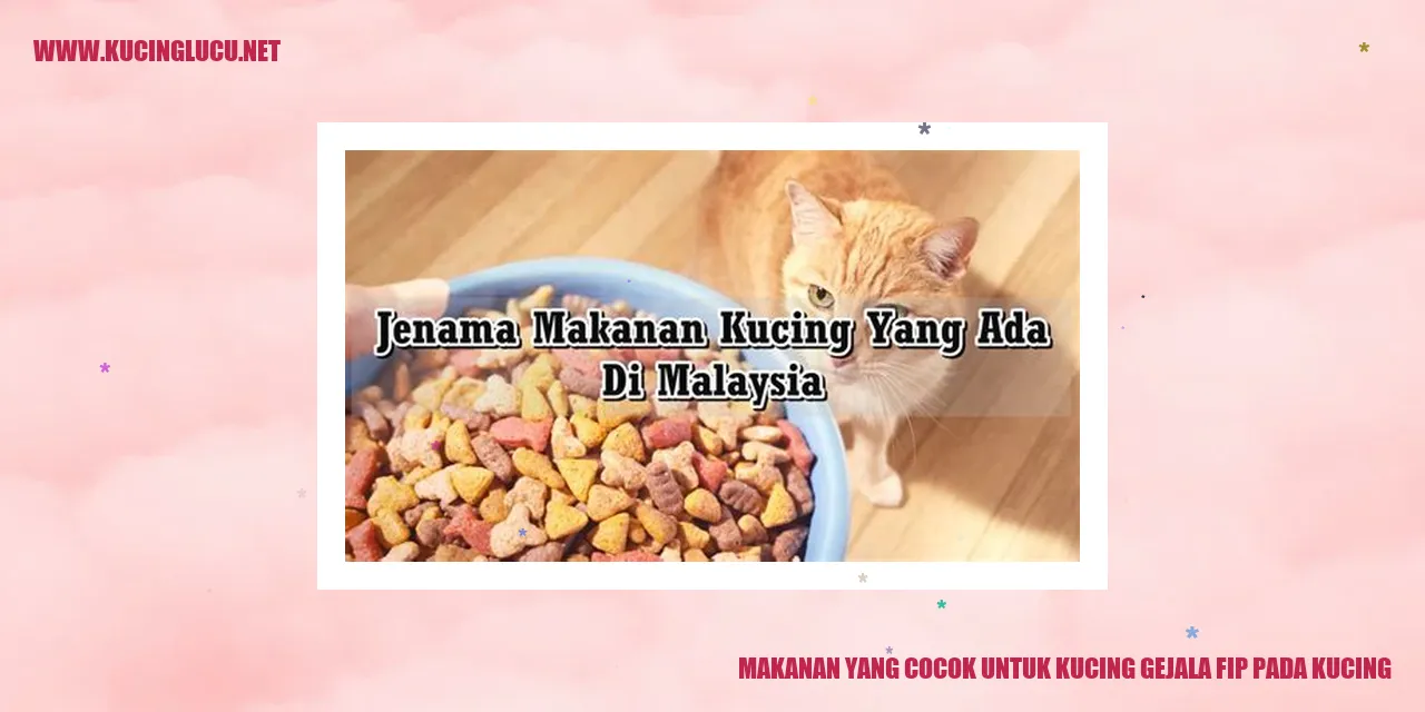 Makanan yang Cocok untuk Kucing gejala fip pada kucing