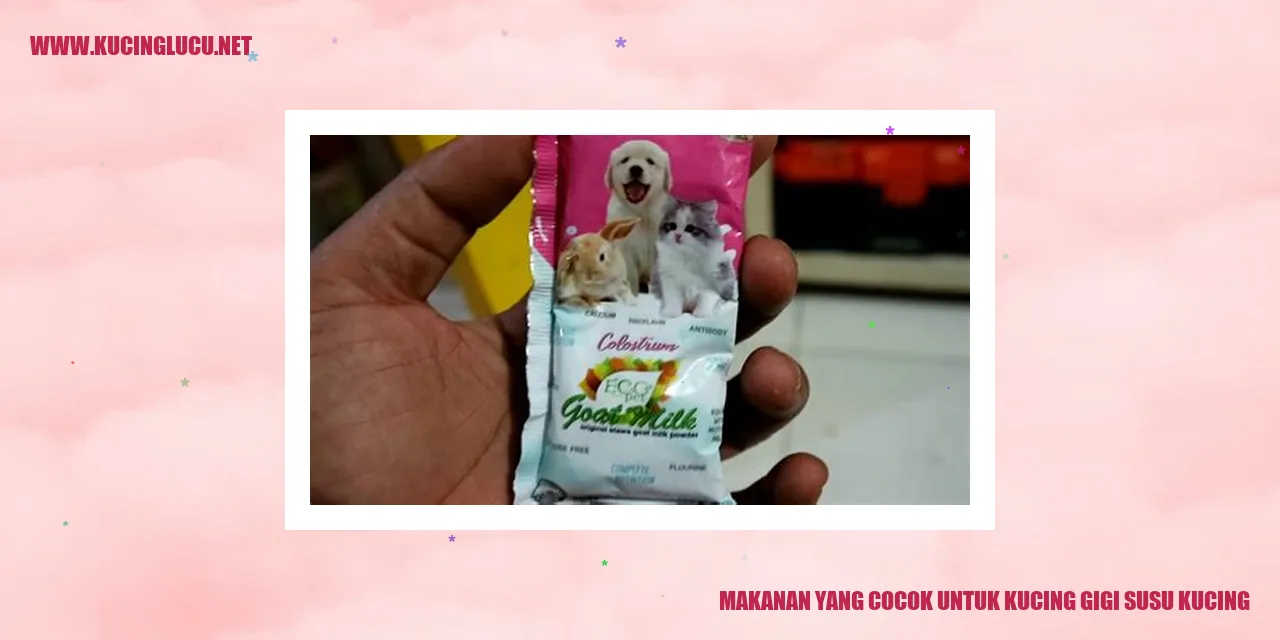 Makanan yang Cocok untuk Kucing dengan Gigi Susu
