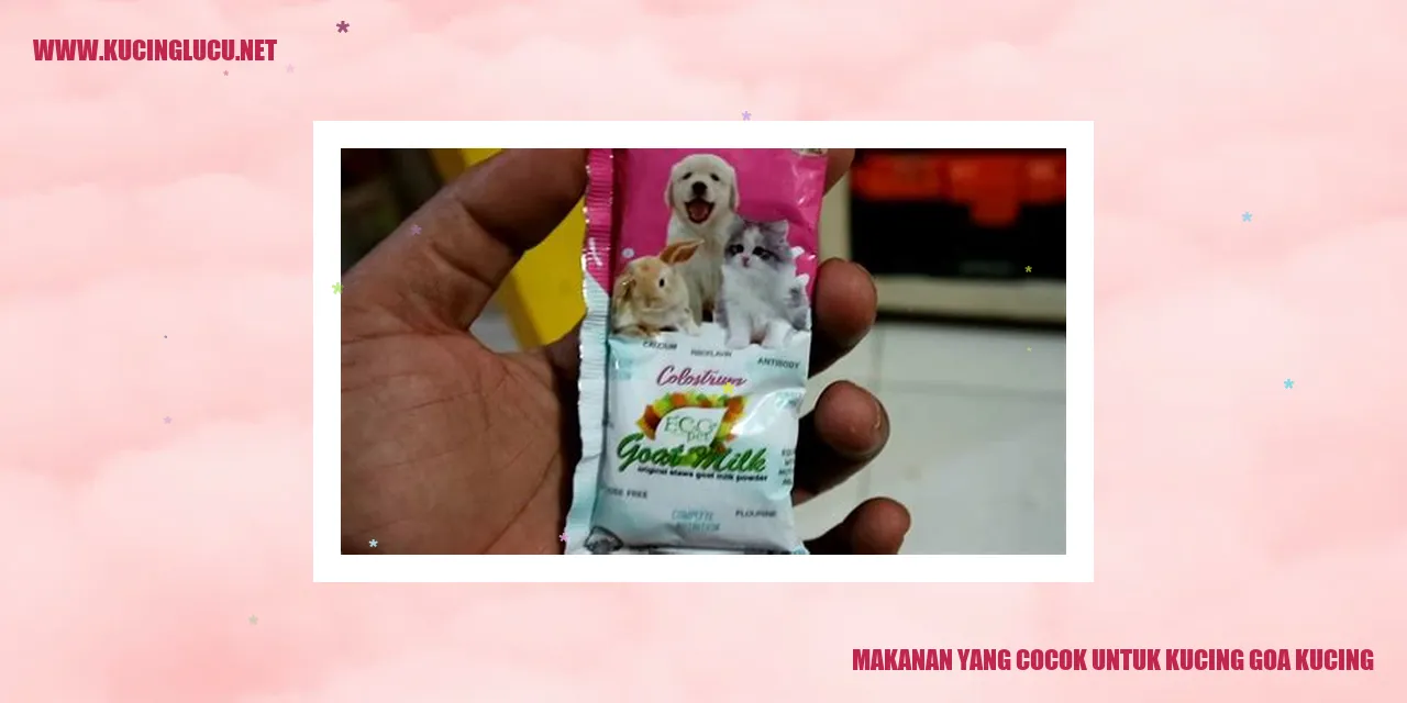 Kucing Goa Kucing