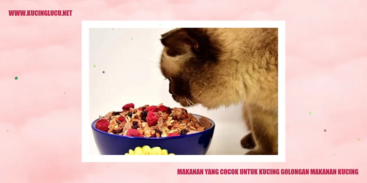 Gambar Kucing Sehat
