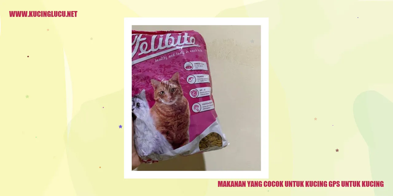 Makanan yang Cocok untuk Kucing