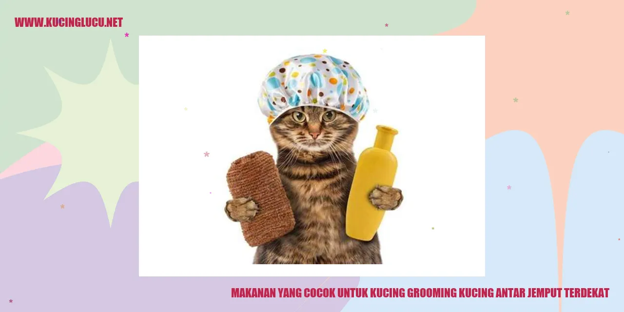 gambar seekor kucing makanan