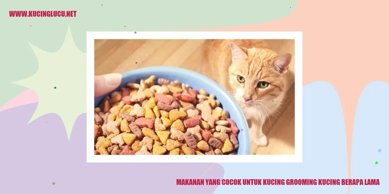 Gambar Kucing Makanan