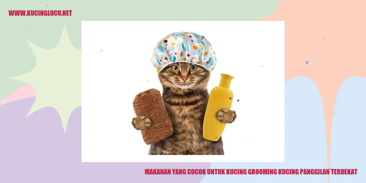 Grooming Kucing