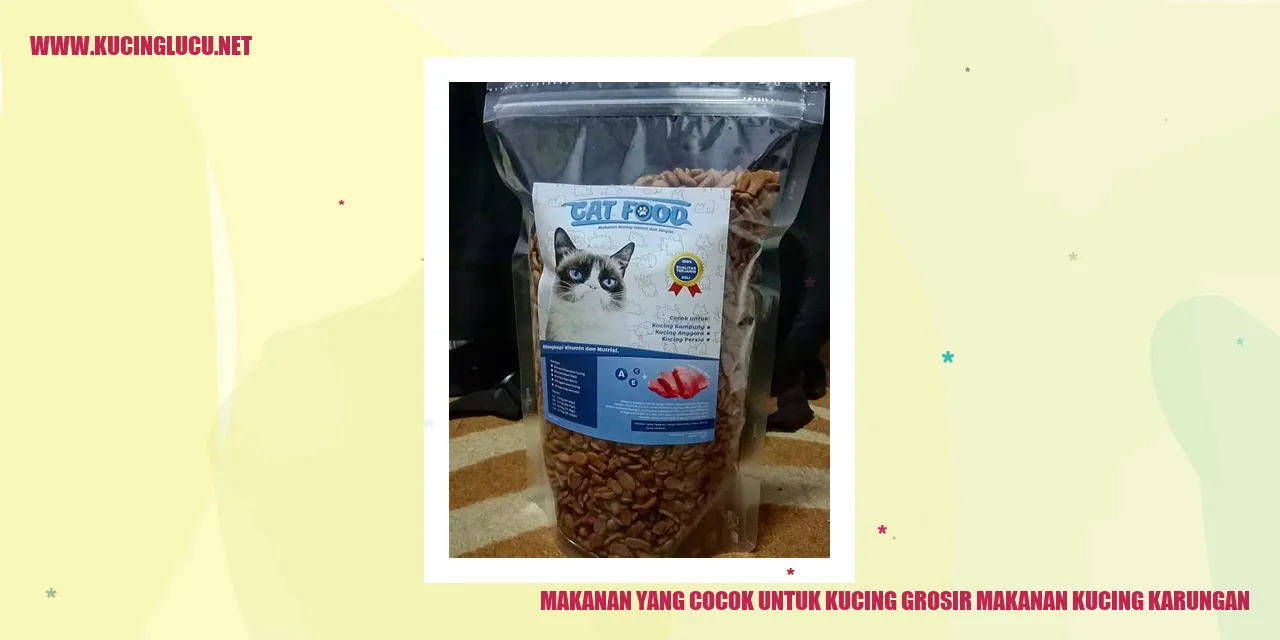 Ilustrasi Makanan Kucing