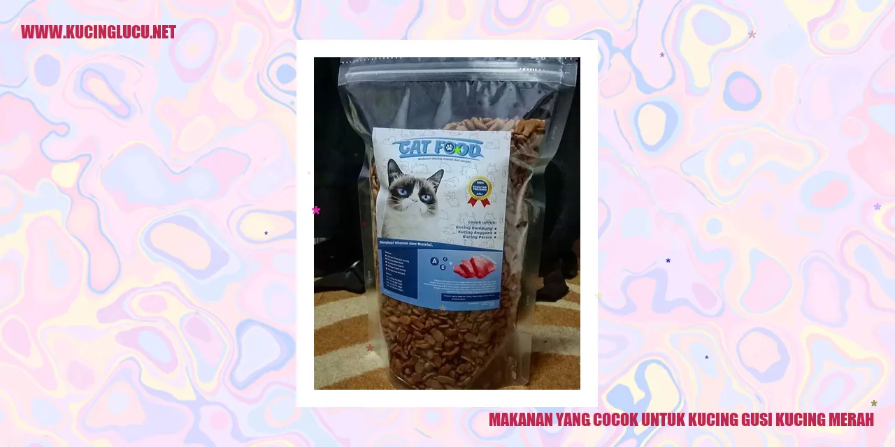 Makanan yang Cocok untuk Kucing gusi kucing merah