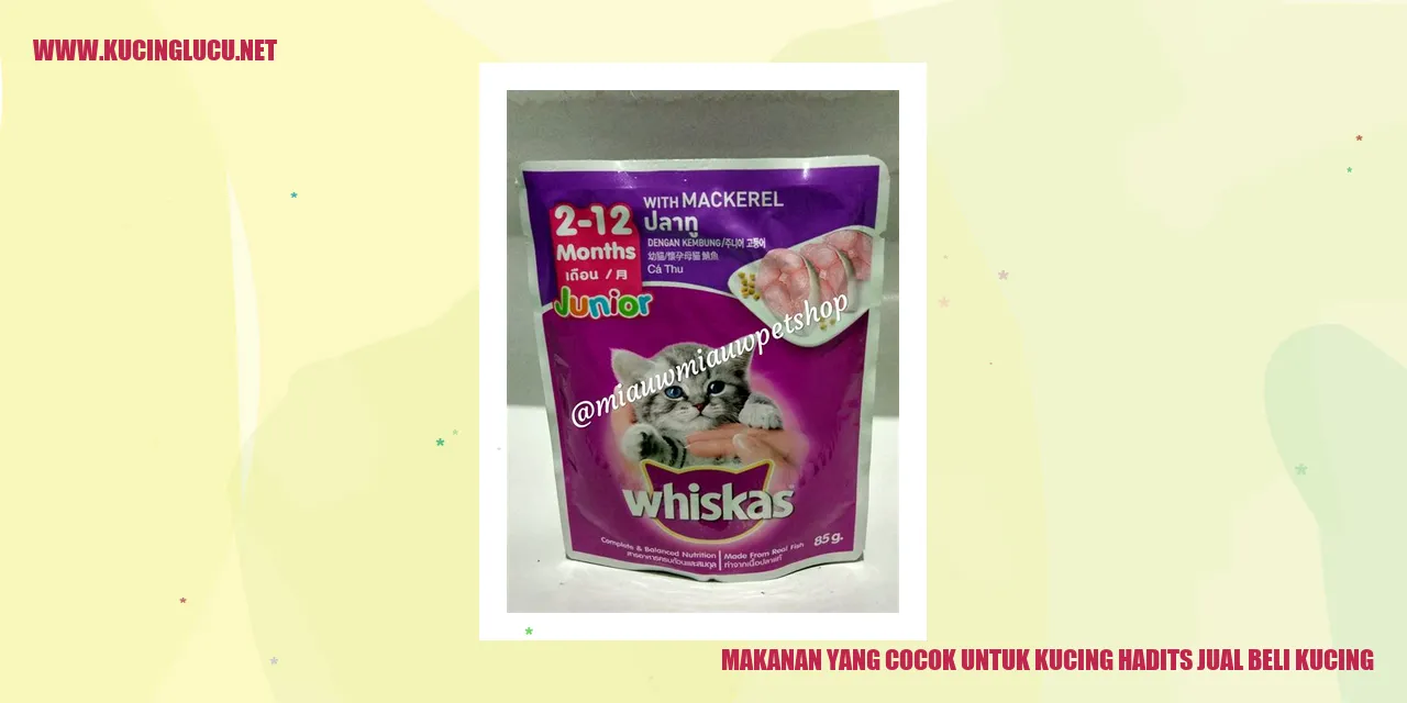 Makanan yang Cocok untuk Kucing