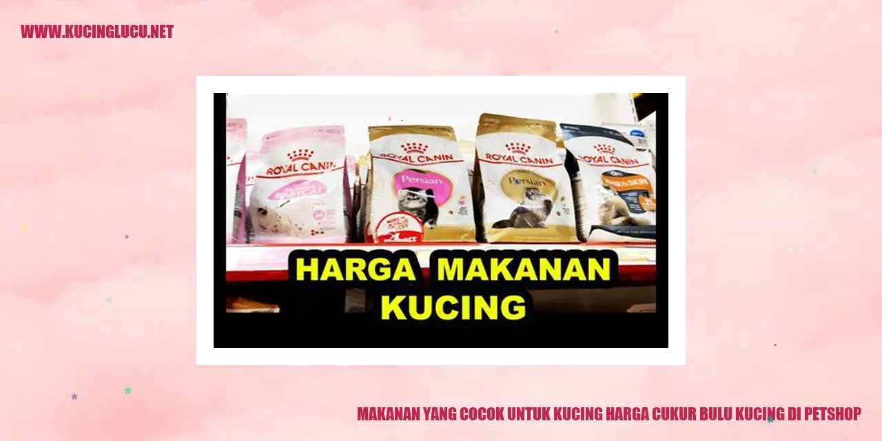 Makanan yang Cocok untuk Kucing