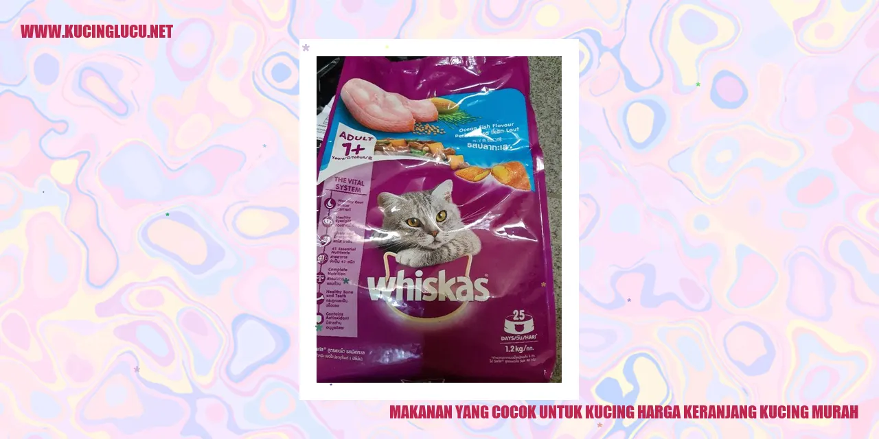 Gambar Kucing