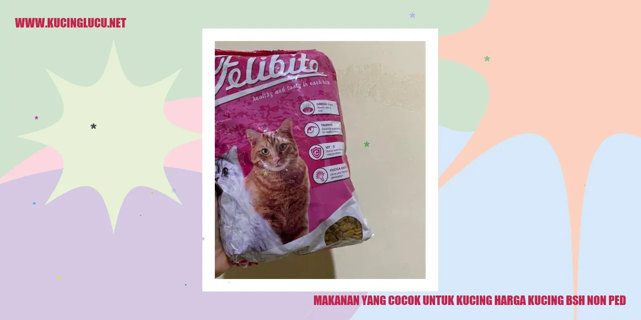 Gambar kucing sedang makan