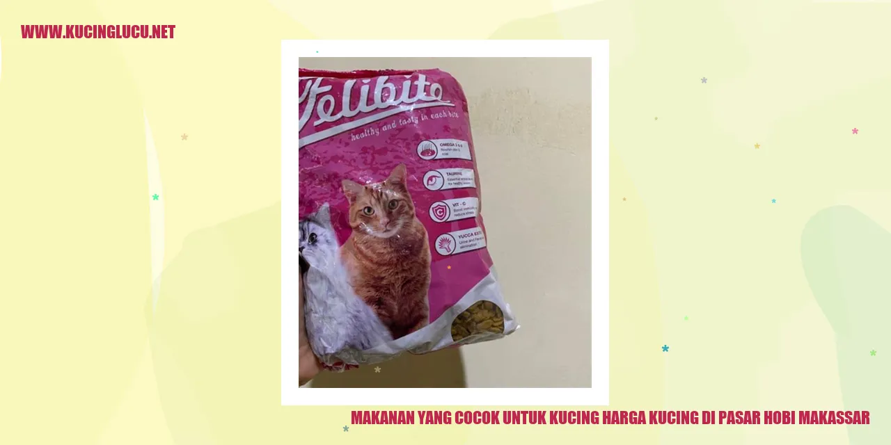 gambar makanan kucing