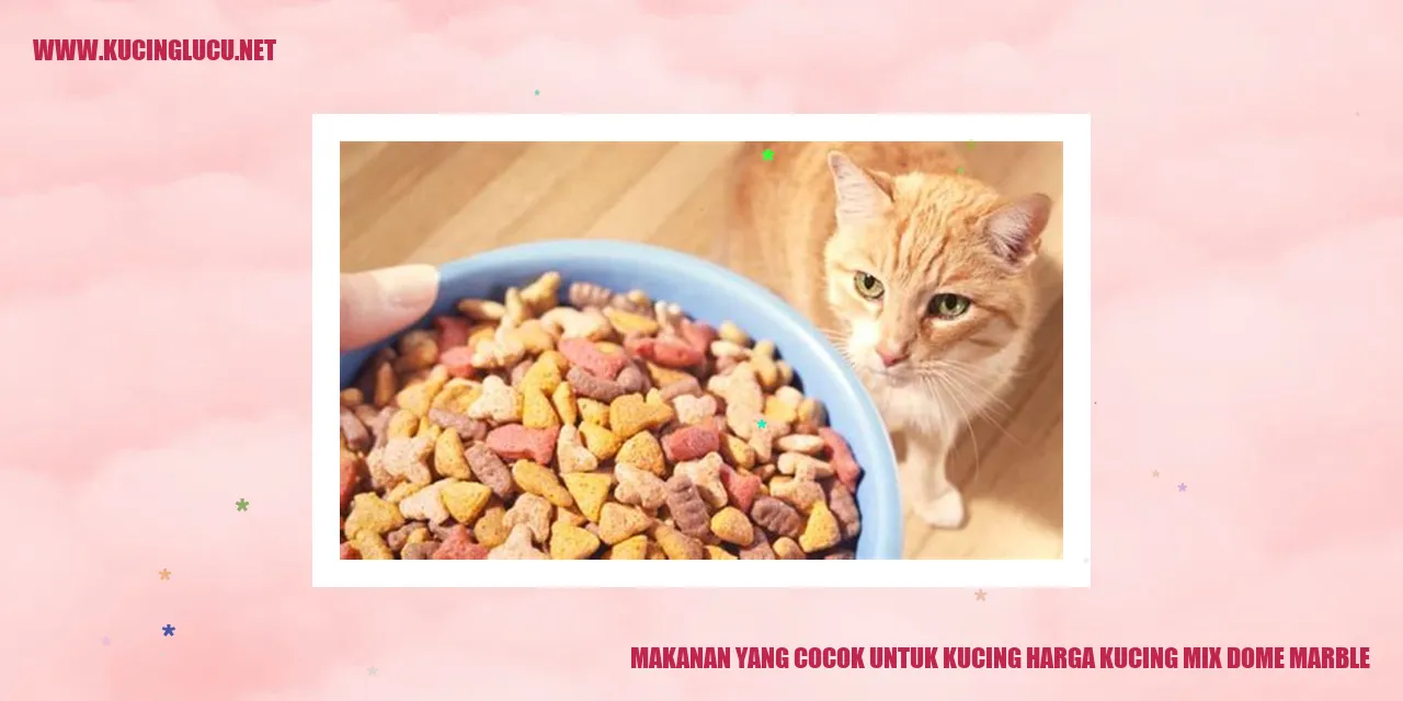 Makanan yang Cocok untuk Kucing