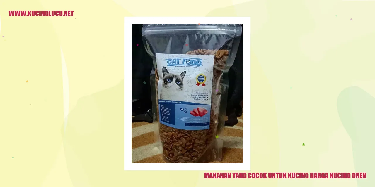 gambar makanan kucing