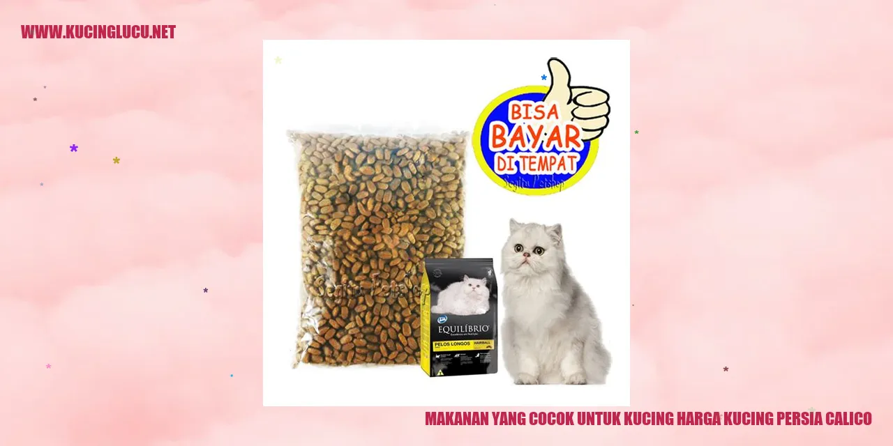 Makanan untuk Kucing Persia Calico