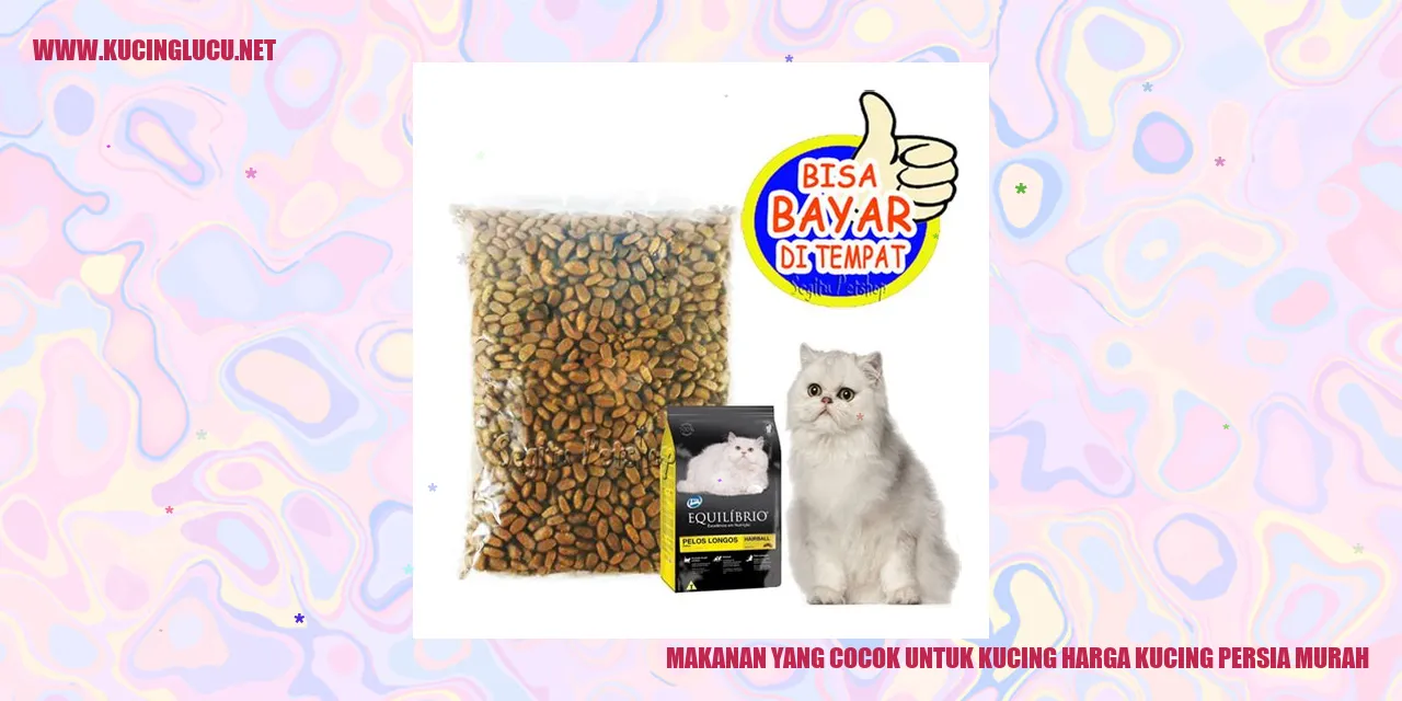 Makanan untuk Kucing Persia Murah