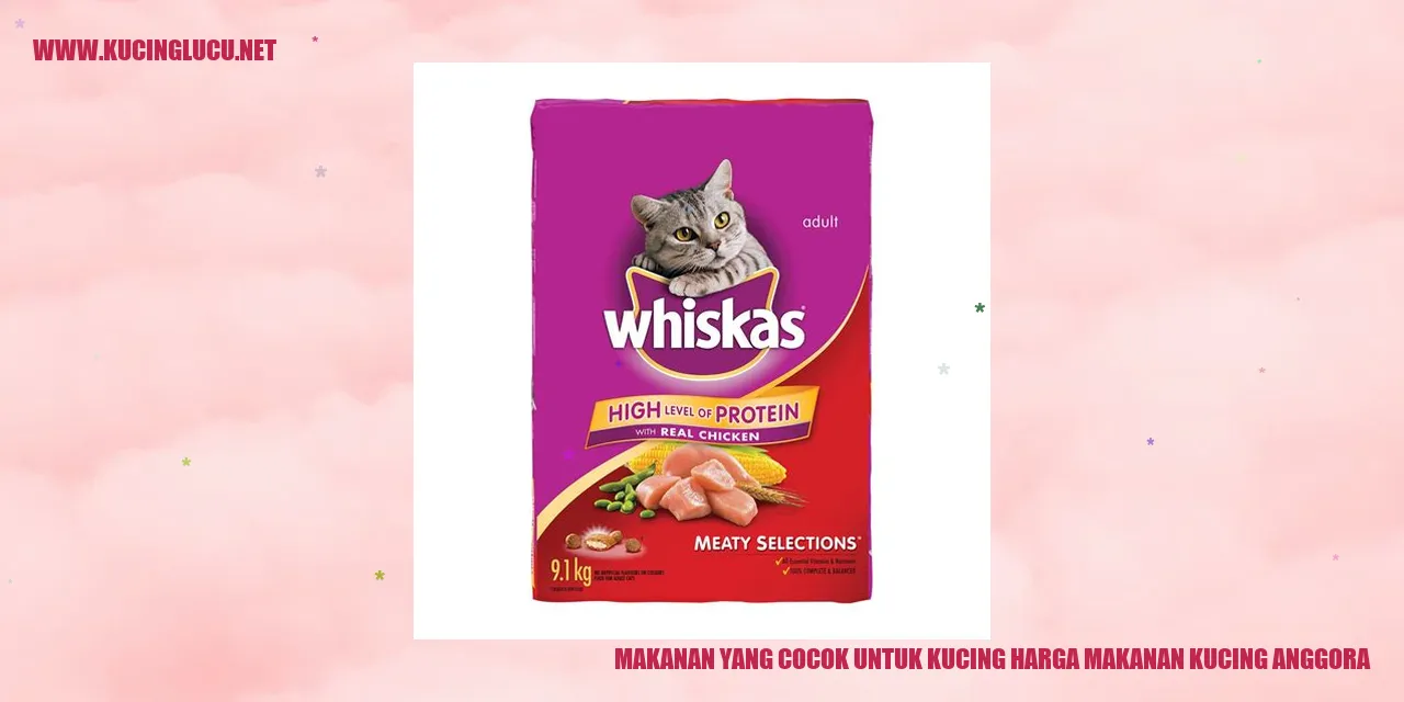 Kucing Anggora