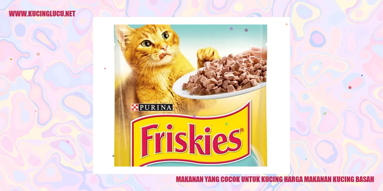 Kucing memakan makanan basah