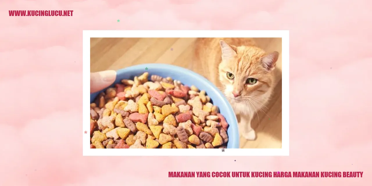 Makanan yang Cocok untuk Kucing