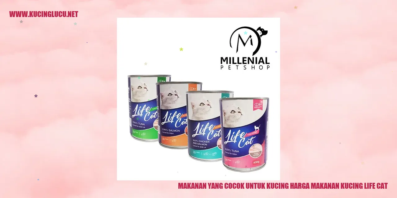 Makanan yang Cocok untuk Kucing