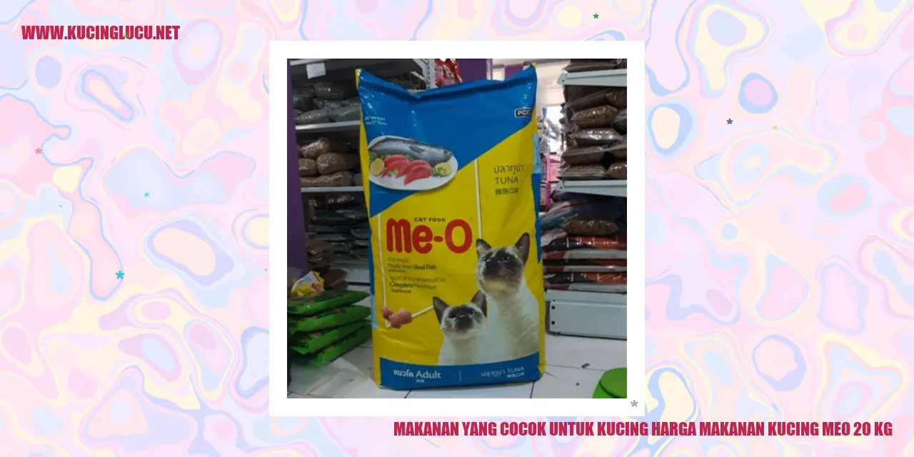 Makanan yang Cocok untuk Kucing