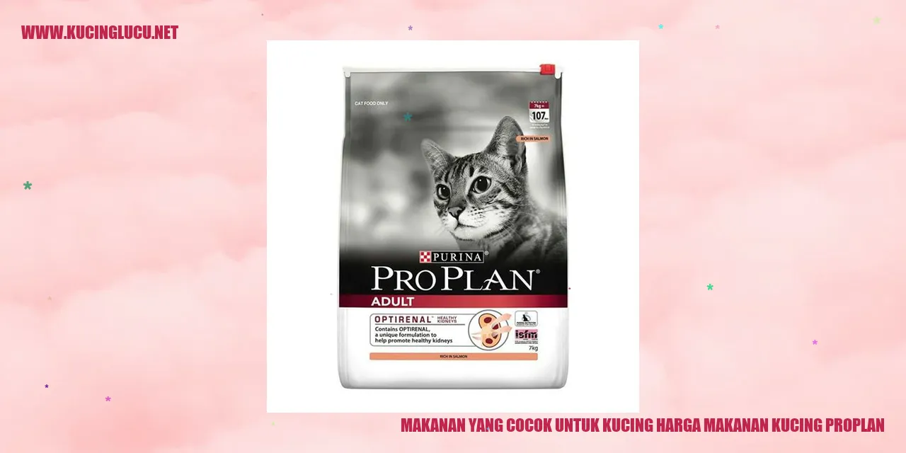 Gambar Kucing