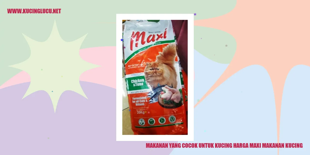 Makanan yang Cocok untuk Kucing