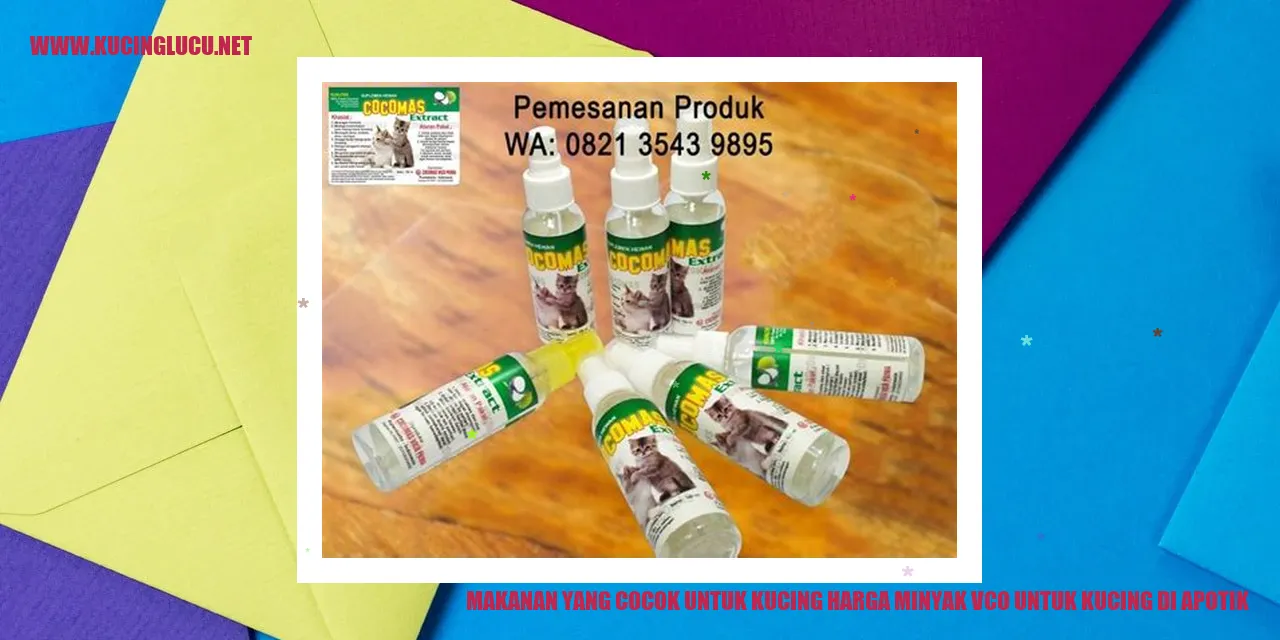 Makanan yang Cocok untuk Kucing