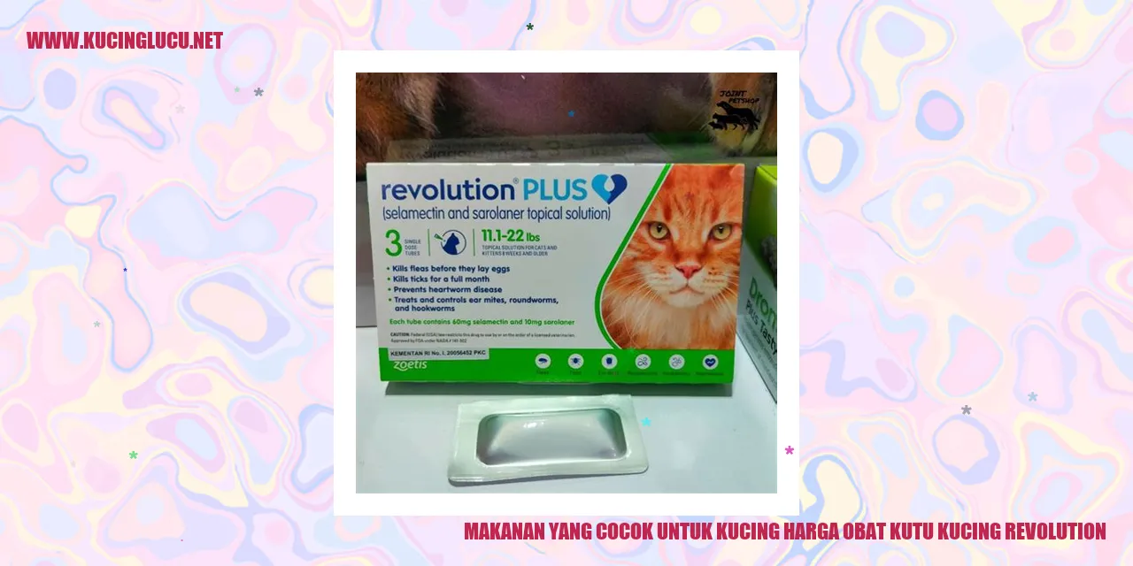 Makanan yang Cocok untuk Kucing