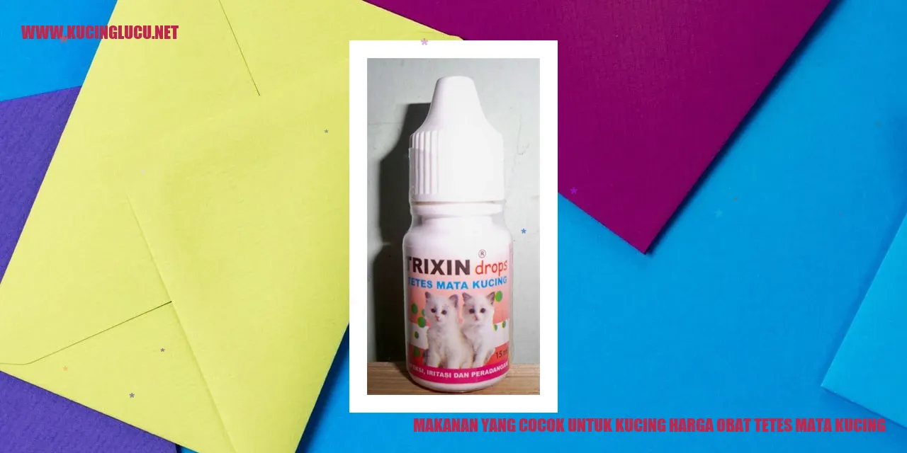 makanan untuk kucing