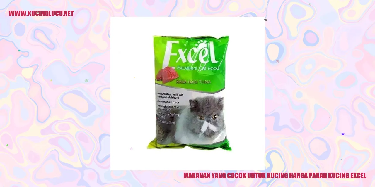 Makanan yang Pas untuk Kucing