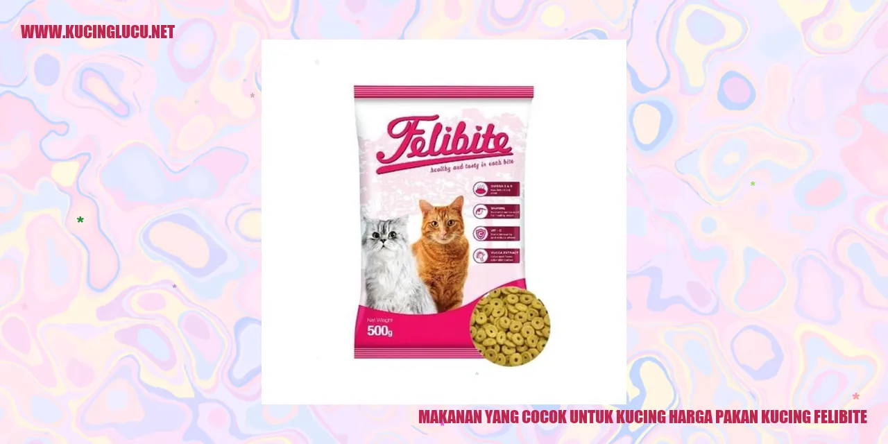 Gambar Makanan Kucing