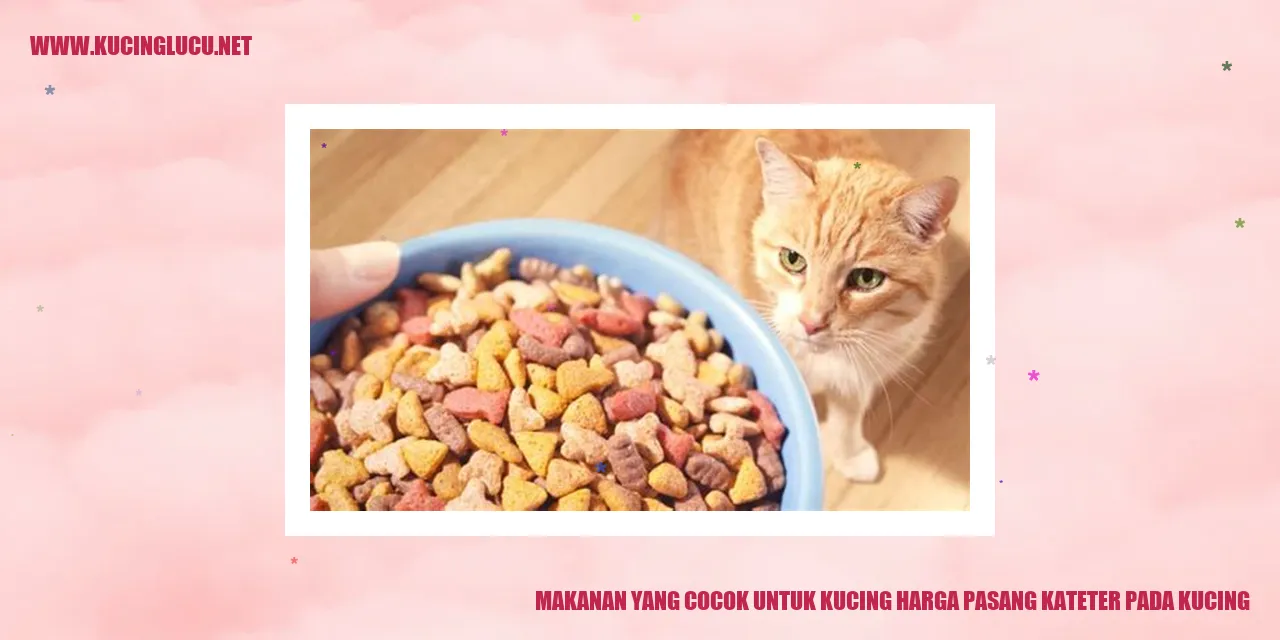 Gambar Kucing Makanan