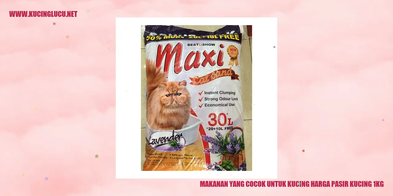 Makanan yang Cocok untuk Kucing
