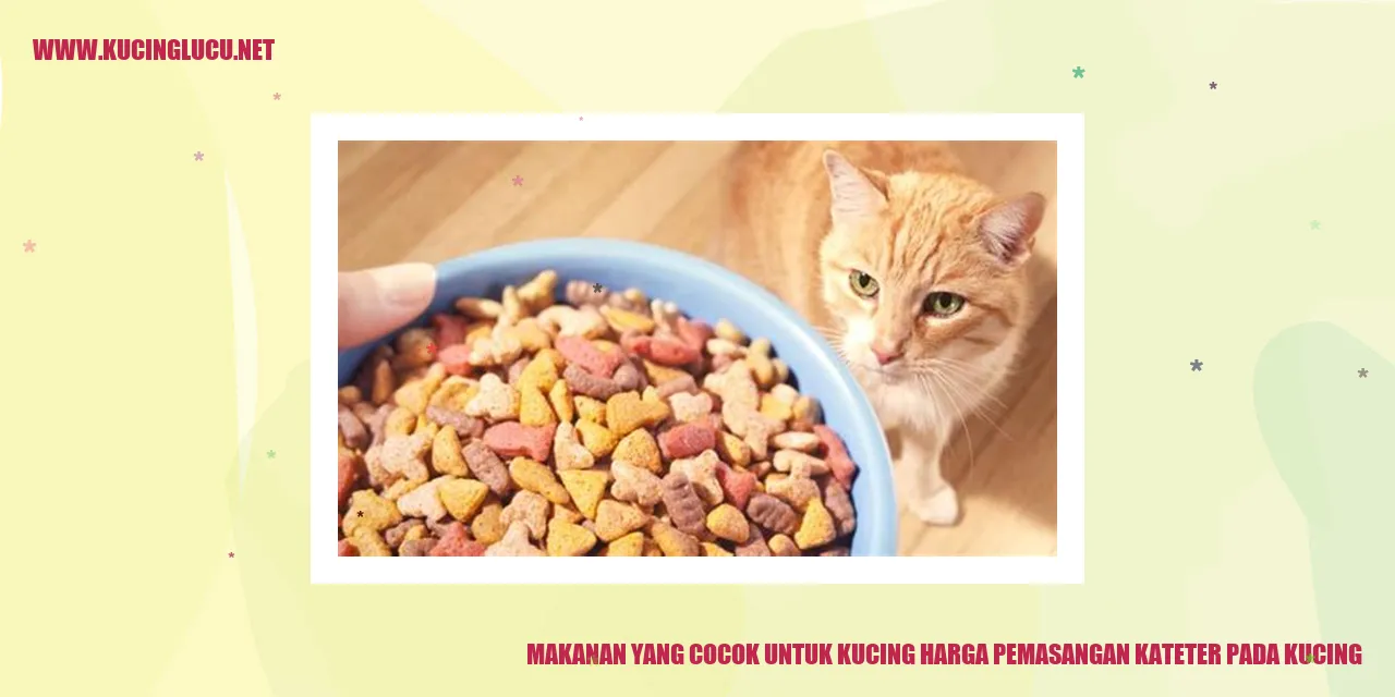 Makanan yang Cocok untuk Kucing