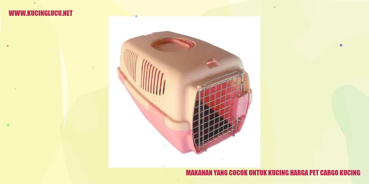 Gambar Makanan Kucing