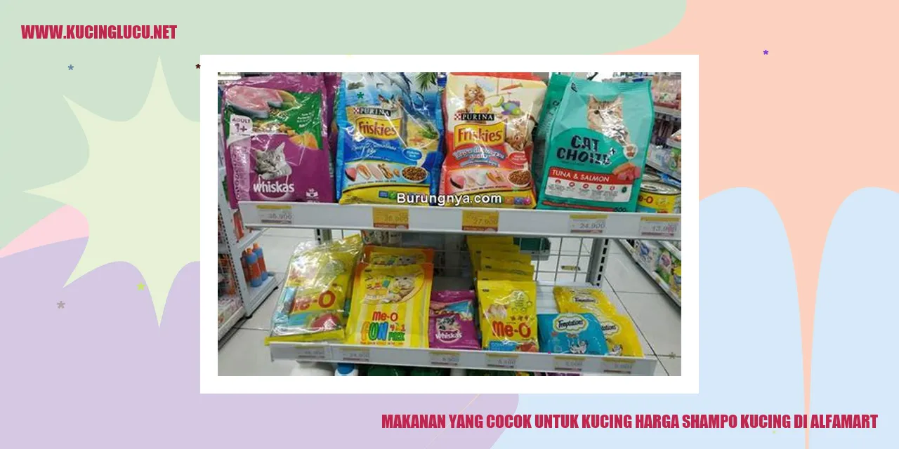 gambar kucing makanan