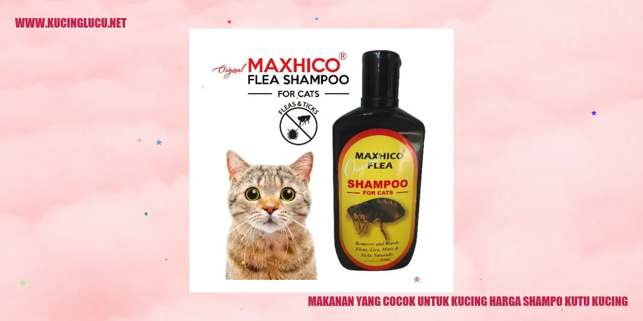 Makanan yang Cocok untuk Kucing
