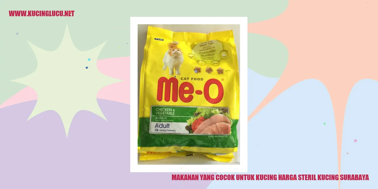 Makanan Kucing