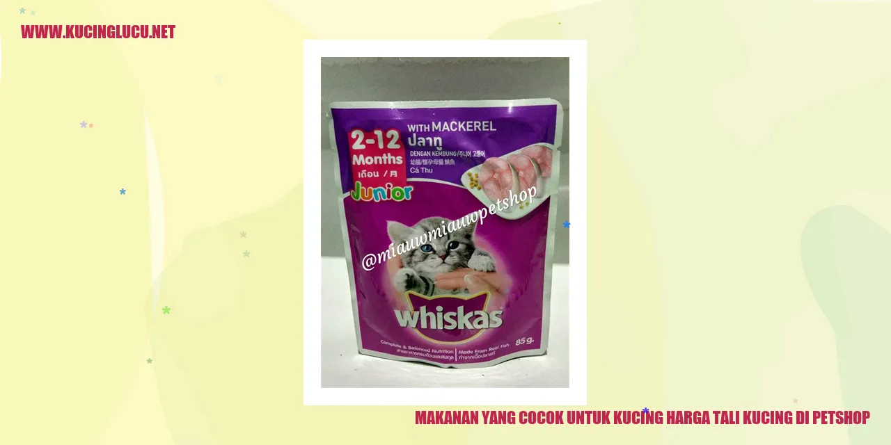 Makanan yang Cocok untuk Kucing