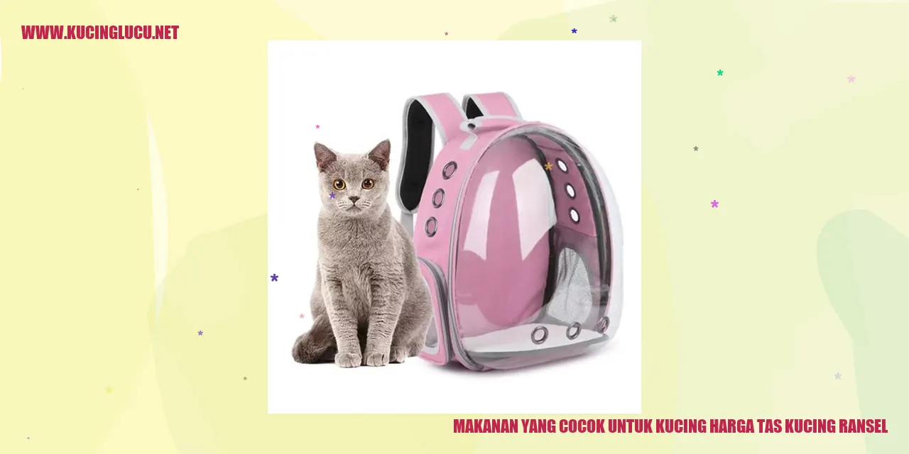 Makanan yang Cocok untuk Kucing