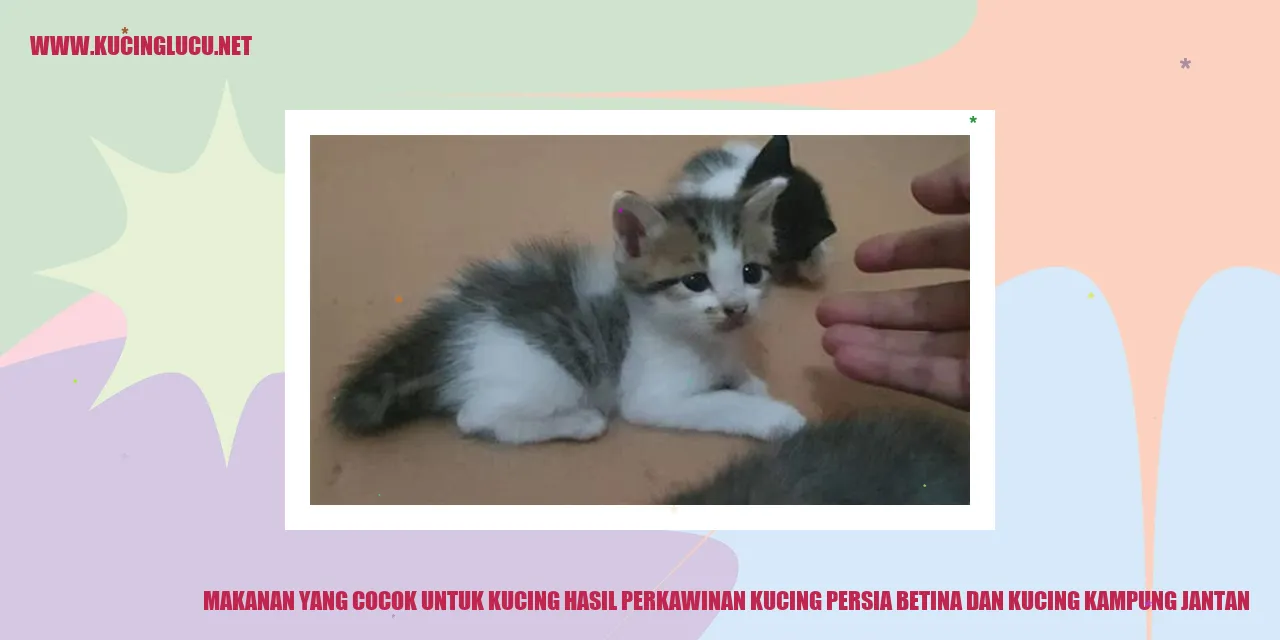 Gambar Kucing