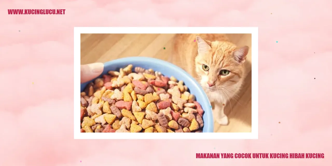 Makanan Sehat untuk Kucing