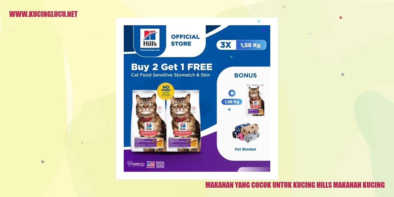 Makanan yang Cocok untuk Kucing Hills Makanan Kucing