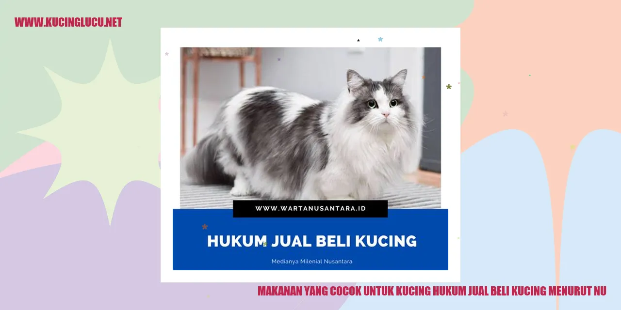 Makanan Kucing
