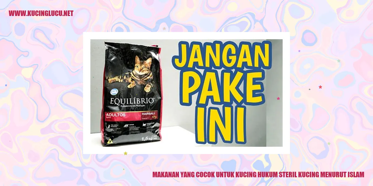 Kucing